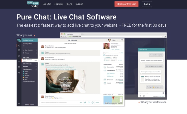 Screenshot of Pure Chat website