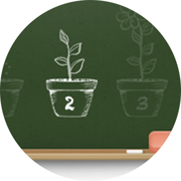 Webinar